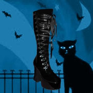 Womens Boots Image